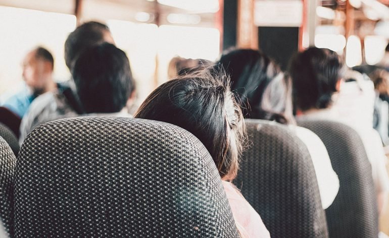 ¿Qué esperar al viajar con Rápidos de Colima?